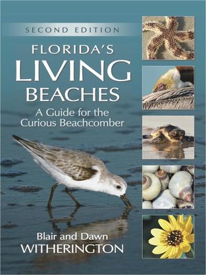 cover image of Florida's Living Beaches